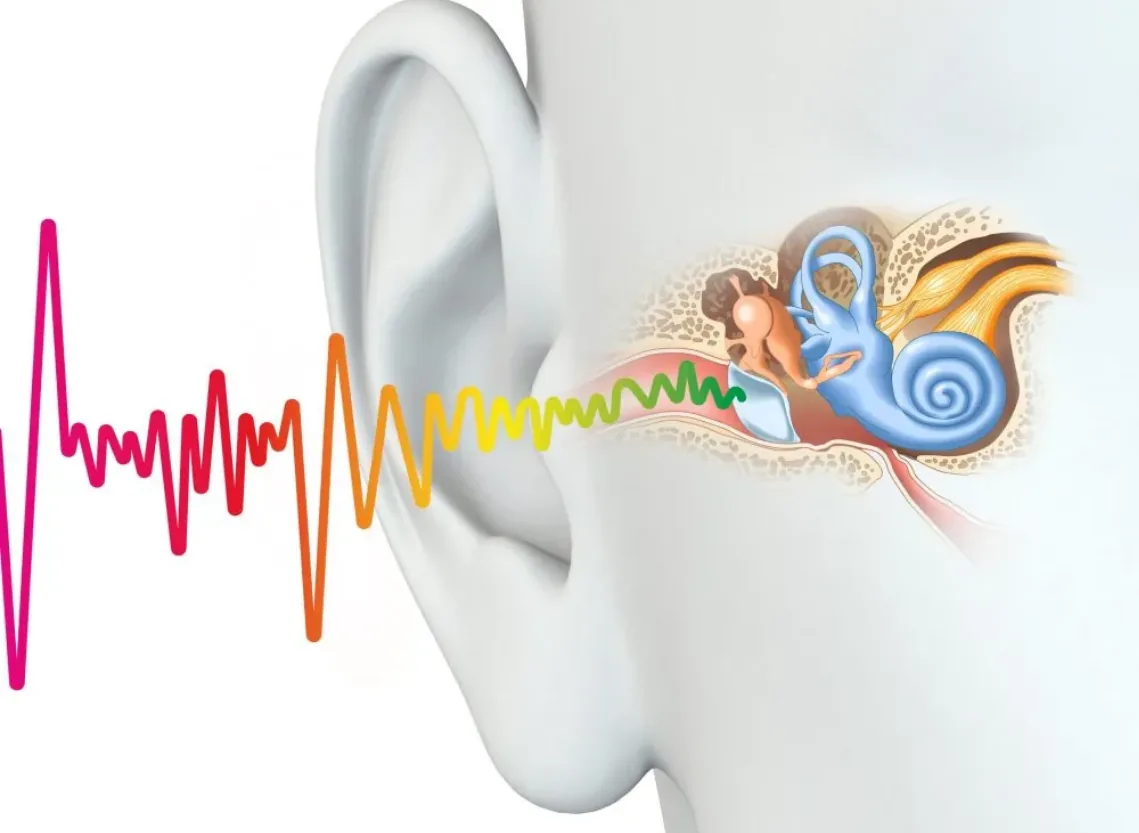 Tinnitus (Ringing in the Ears) at Niraaya Hospital