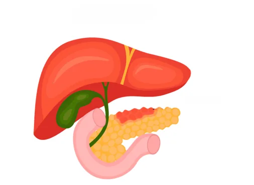 Pancreatitis consultation at Niraaya Hospital